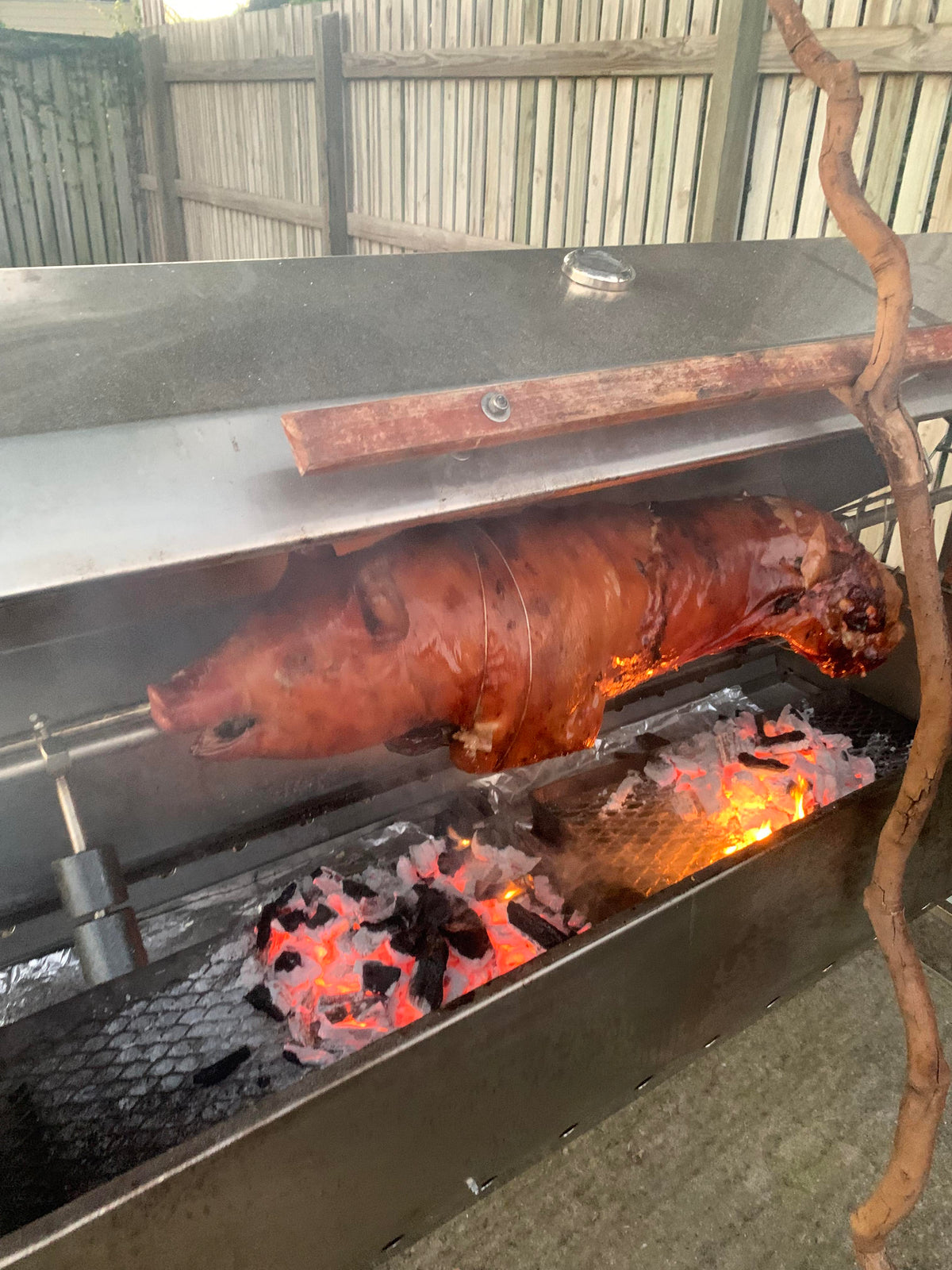 BettaPork Whole Spit Pig